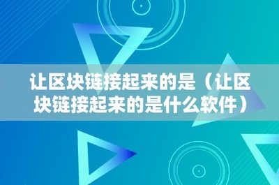 让区块链接起来的是软件吗？揭示区块链技术中的软件与服务